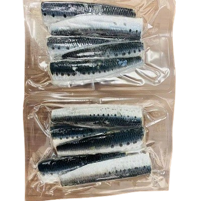 Frozen Sardine Fillet, Pack